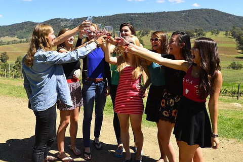 Hunter Valley Wine Tour From Sydney Incl Lunch, Cheese, Chocolate And Distillery - Tourism Cairns 3