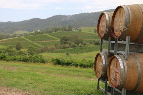 Hunter Valley Wine Tour From Sydney Incl Lunch, Cheese, Chocolate And Distillery - Tourism Cairns 5