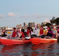 Brisbane River Guided Evening Tour by Kayak - Our Most Popular Tour - Tourism Cairns