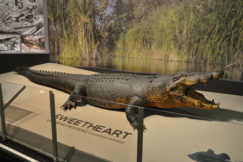 Explore Darwin City Sights Including Key Attractions - Tourism Cairns 2