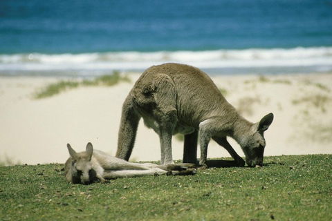 Great Ocean Road Highlights Tour - 2 Days, 1 Night - Tourism Cairns 2