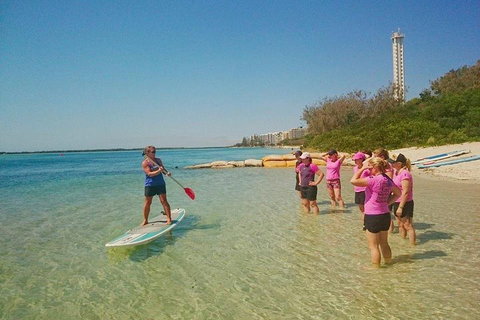 Golden Beach 1-Hour Stand-Up Paddleboard Hire On The Sunshine Coast - Tourism Cairns 1