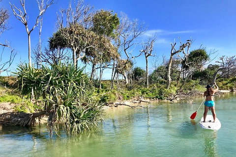 Golden Beach 1-Hour Stand-Up Paddleboard Hire On The Sunshine Coast - Tourism Cairns 5