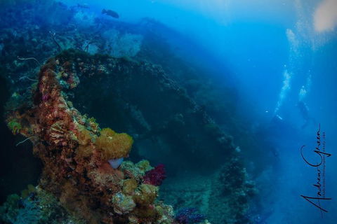 Scuba Dive The S.S. Yongala Wreck On The Great Barrier Reef. - Tourism Cairns 3