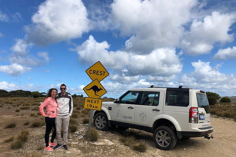 Kangaroo Island 4WD Tour - Best Of KI - Tourism Cairns 5